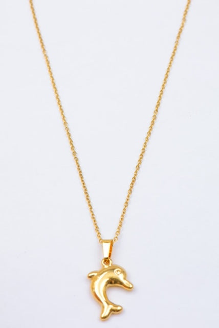 A Dolphin necklace