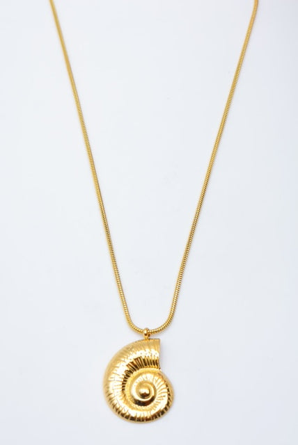 A Royal Seashell necklace