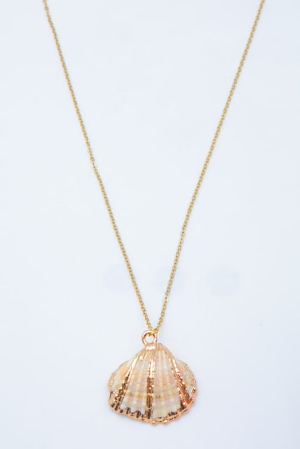 A Seashell necklace