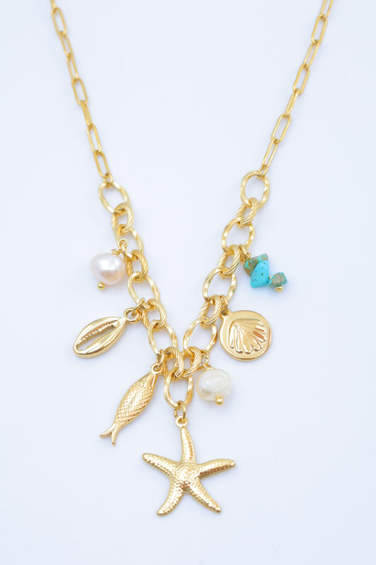 A Charmstar necklace