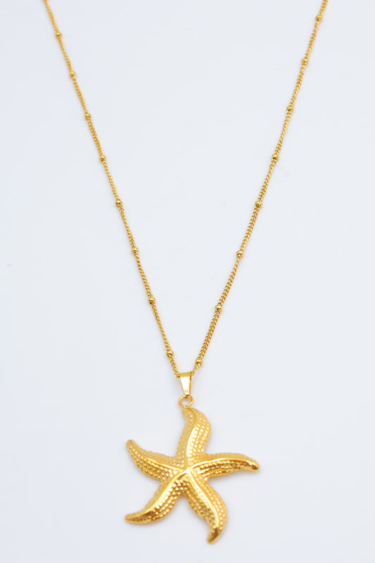 A Starfish necklace