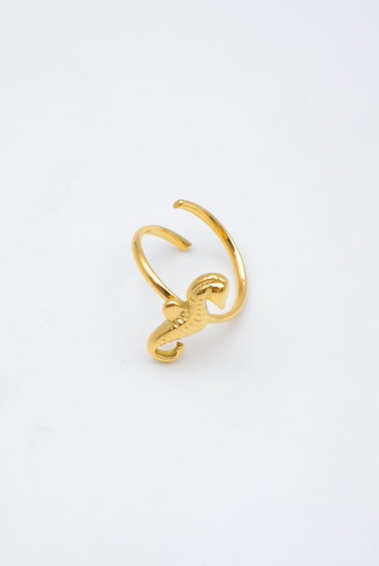 A Seahorse ring
